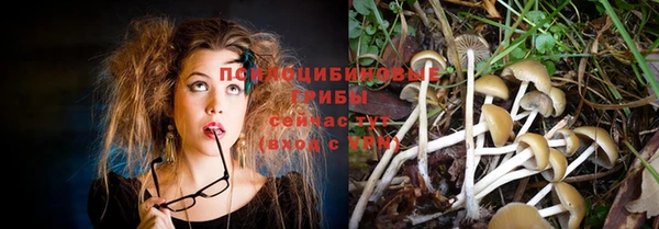 мяу мяу мука Навашино