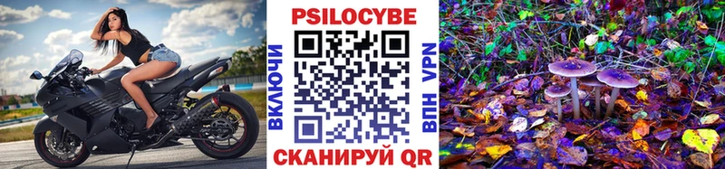 Псилоцибиновые грибы Cubensis  цена   Губкинский 