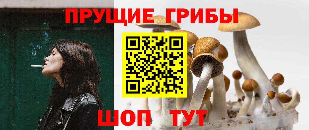 Псилоцибиновые грибы Magic Shrooms Губкинский