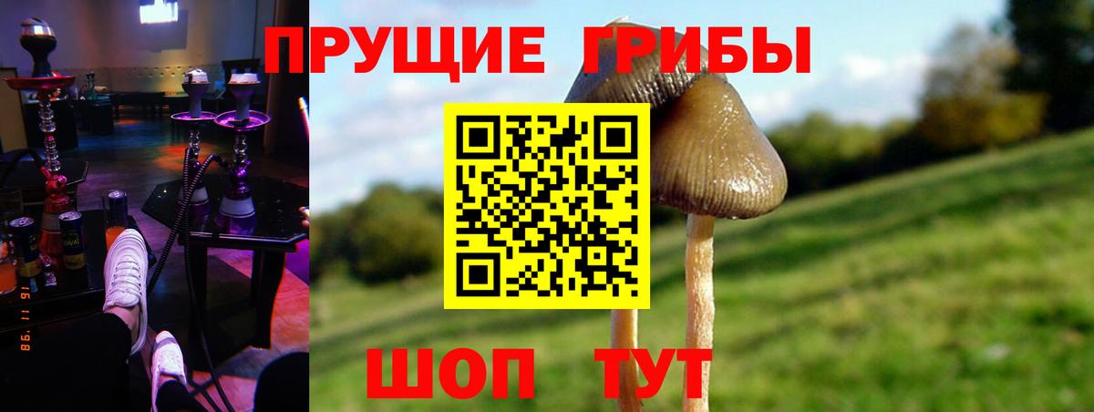 Галлюциногенные грибы Magic Shrooms Губкинский